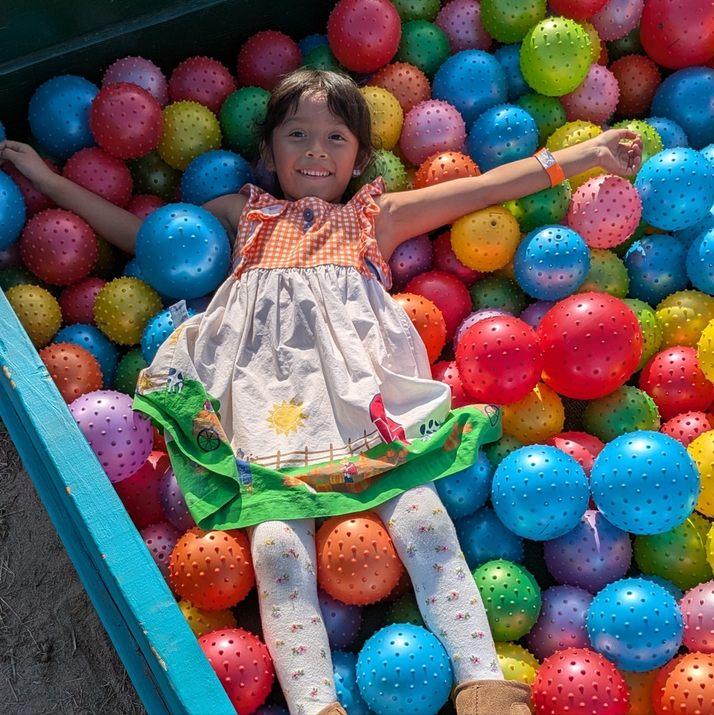 Meet your Posher, Araceli